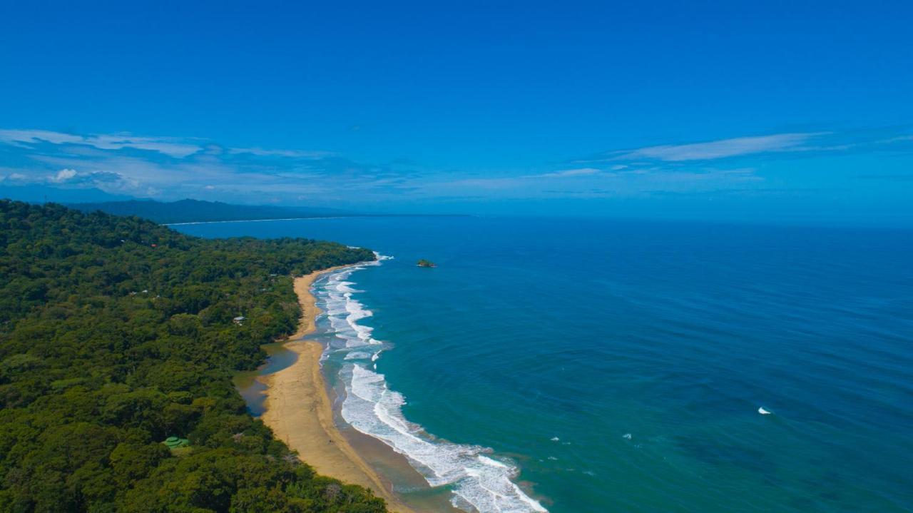 Gigi Brown Villa Paparazzi Beachfront Puerto Viejo de Talamanca Extérieur photo